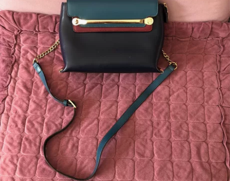 拉菲斯汀2022秋冬新款包包大容量链条单肩...