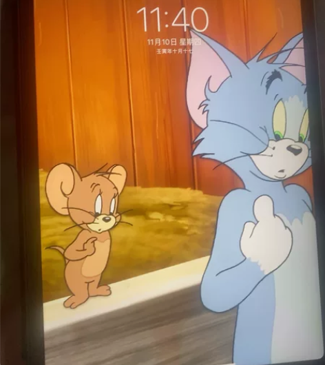 ipad pro2021 自买，不怎么用了...