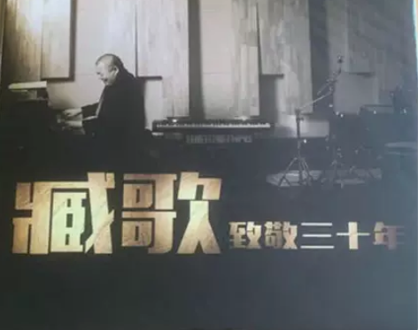 ?正版【臧天朔 臧歌致敬三十年】12寸黑胶...