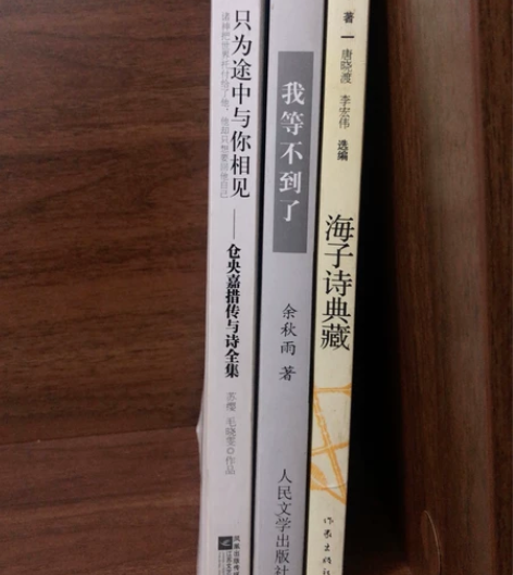 三本熏陶情操的好书，《海子诗典藏》+《只为...