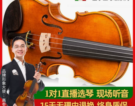 意大利christina V10D 演奏级...