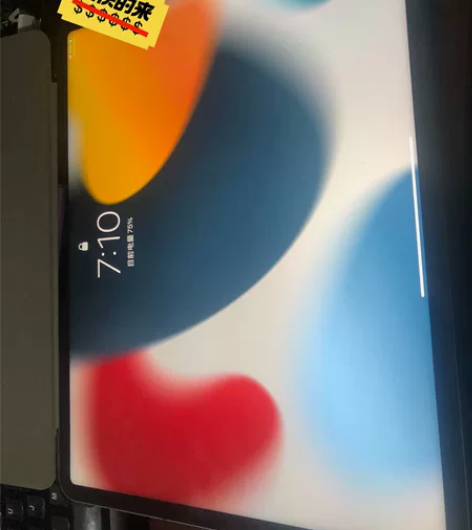 15.1系统 2021款ipad pro1...