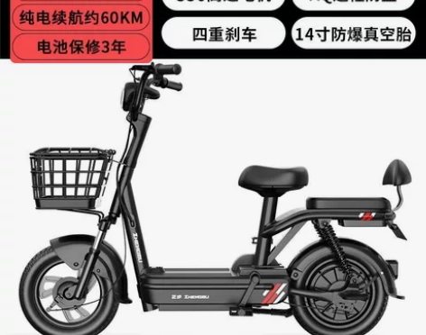 正步爱玛台铃新日国标电动车锂电池电瓶车小型...