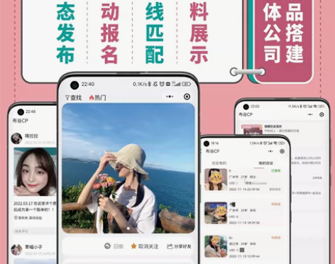 婚恋系统 交友 网站  小程序 网站开发 ...