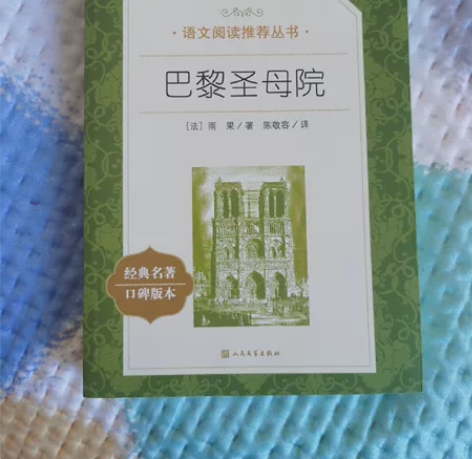 【出】巴黎圣母院 人民文学出版社 全新买回...