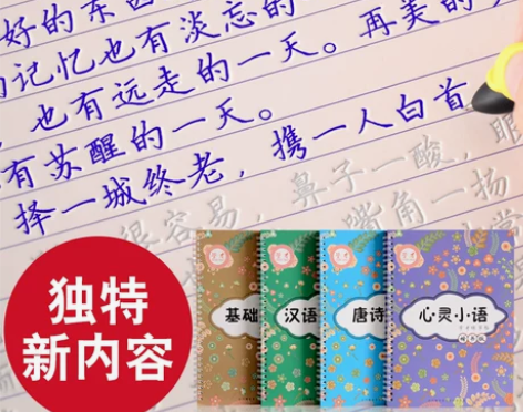 学才 成人楷书练字帖中小学生凹槽练字板正楷...