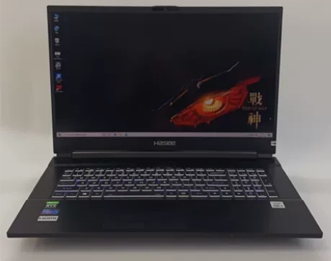 ?神舟战神G8笔记本电脑I5-10500游...