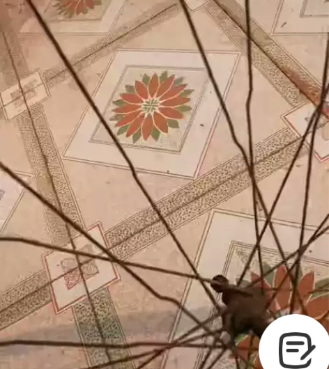 老飞鸽22型28自行车前叉拆车件墨绿色的看...