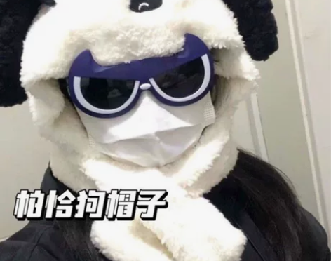 小红书同款高颜值日系软妹帕恰狗毛绒帽可爱甜...