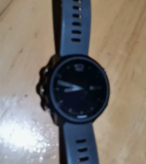 Garmin/佳明 245 普通版 户外功...