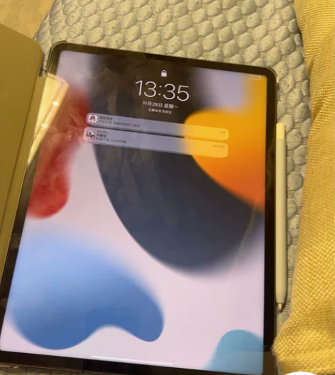 iPad Pro 2021 外版256 成...