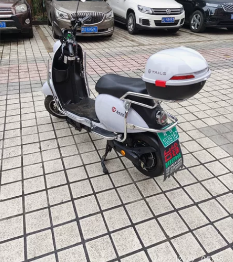 成功拿下几个月的台铃电动车，崭新的没有一点...