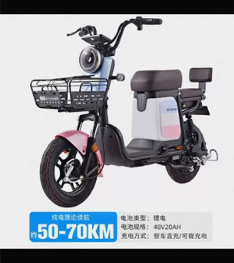 哈啰电动车新国标自行车锂电代步通勤长跑王棒...