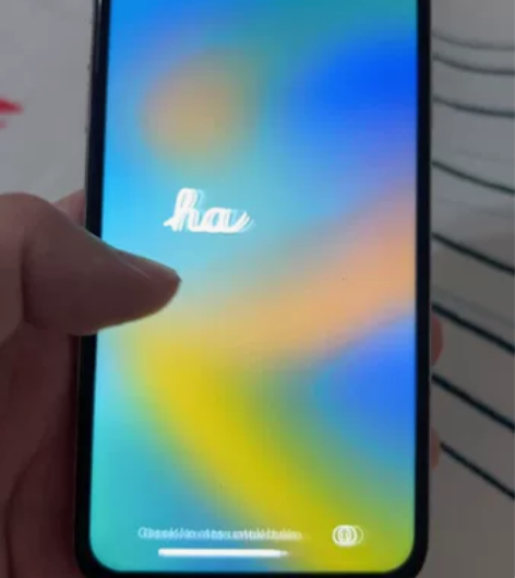 国行64g iPhone x，换过副厂屏，...