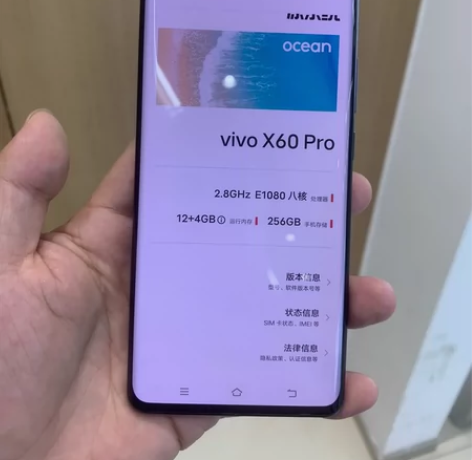 vivo X60pro 12+256内存成...