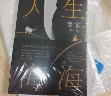 人生海海麦家茅盾文学奖中国文学小说包邮书籍...