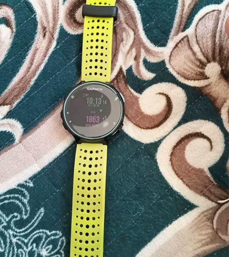 佳明（GARMIN） FR 235 智能手...