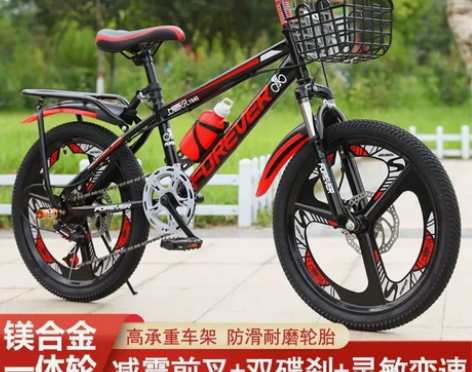 永久儿童变速自行车20寸男女学生单车中大童...