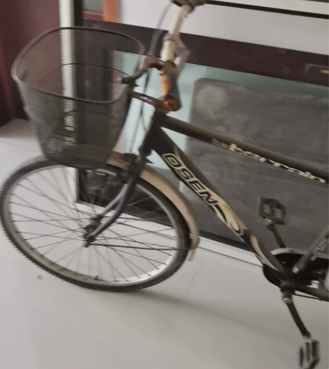 没地方,转三枪牌自行车一辆 感兴趣的话点“...