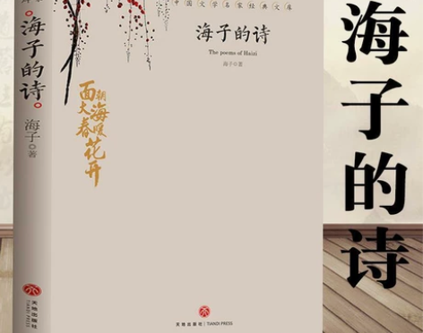 海子的诗 正版面朝大海春暖花开海子传记文学...