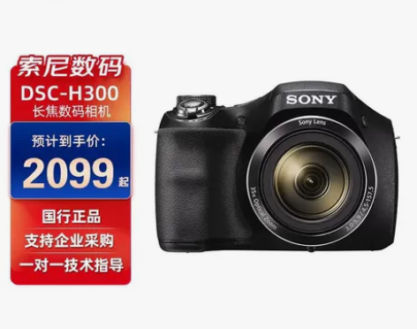 索尼H300#Sony/索尼 #春日出游必...