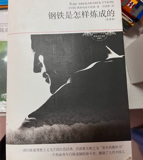 《钢铁是怎样炼成的》 作者:奥斯特洛夫斯基...