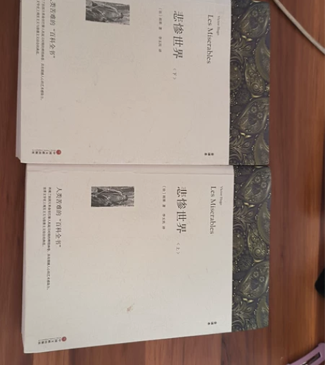书名《悲惨世界》上下    两本 由于我已...