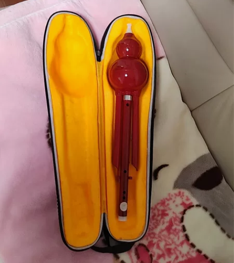 葫芦丝一把，学校兴趣班配的，买了380块钱...