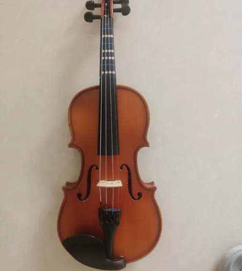 小提琴 初学者小提琴成人儿童入门练习小提琴...