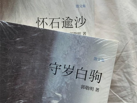 郭敬明 悲伤逆流成河 辛夷坞青春言情小说散...