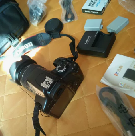 卖一套入门级佳能450D单反数码相机套机 ...