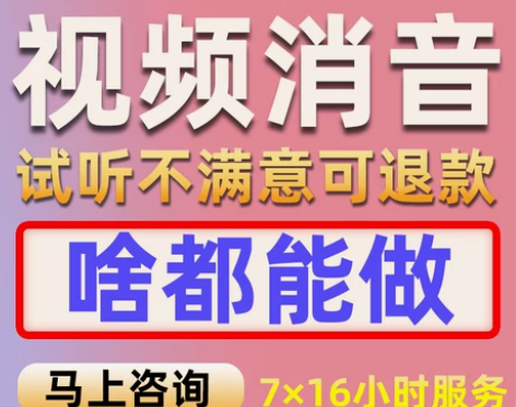 视频消音消除人声伴奏制作歌曲电影动画片趣配...