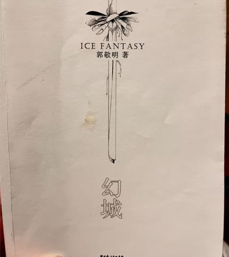 幻城 郭敬明 小说 二手书 无书封，内页干...