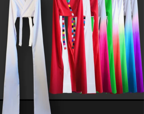 水袖上衣女藏族舞蹈服装儿童古典练功服甩袖