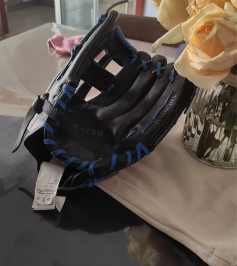 九成新棒球手套，学校用完了，半价出 感兴趣...