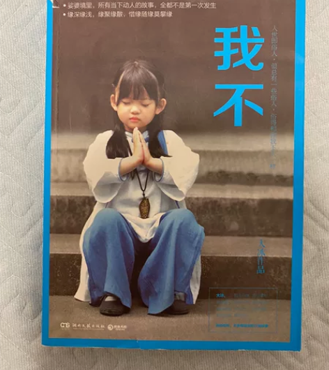 我不大冰著2017年励志暖心随笔青春现当代...