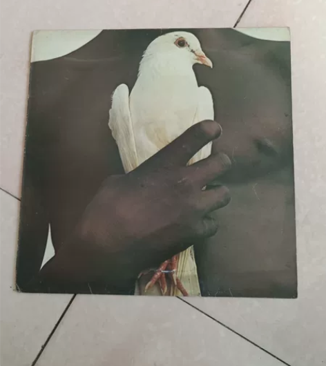 老唱片 绿色韩版圣 经 其他台版...