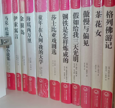 文学小说图书 全新未开封~ 格列佛游记|茶...