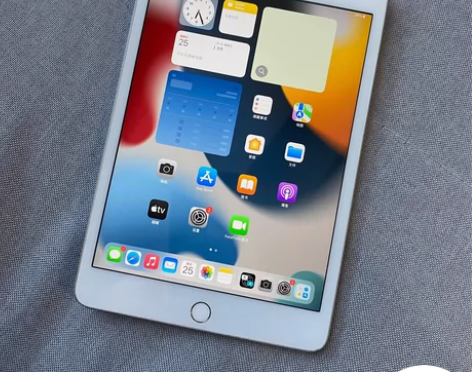 ipadmini5 2019款wifi版6...