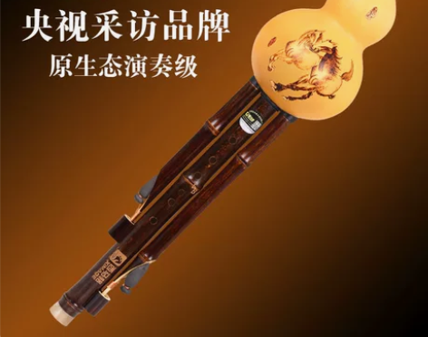 葫芦丝 葫芦丝初学天然紫竹专业演奏型c调降...