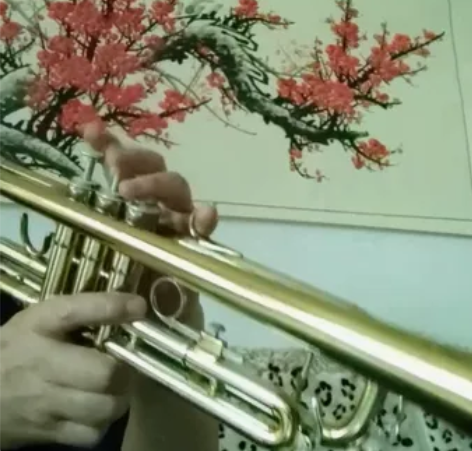 小号乐器 老星海牌5218型，原装正品，北...