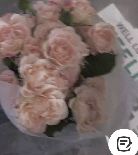 python网络爬虫项目 欢迎咨询