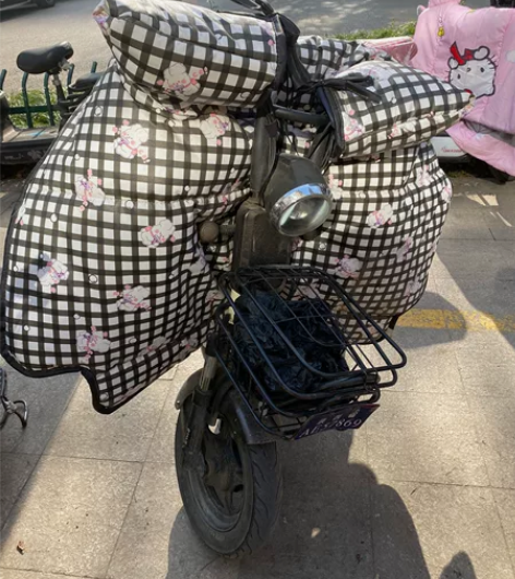 要离开西安了,出自骑的电动车 台铃的,充满...