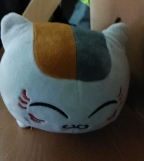 猫老师 感兴趣的话点“我想要”和我私聊吧～