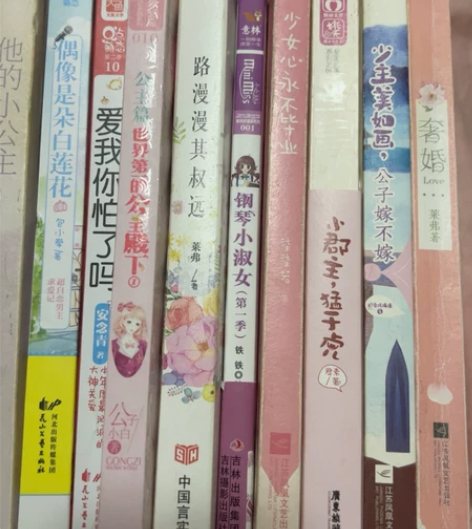 言情小说 甜宠青春校园 都市,9成新 没...
