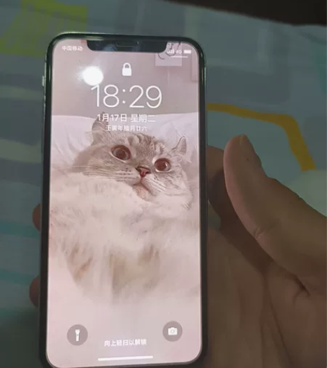 Apple/苹果 iPhone X全原，电...