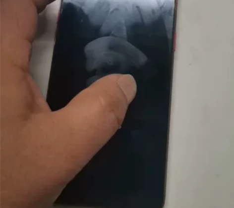 OPPOr15梦境版，刚换的屏幕，功能正常...