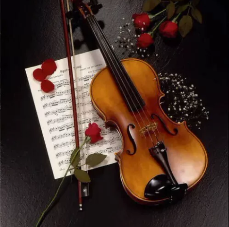 招收线上小提琴学生。老师介绍：交响乐团小提...