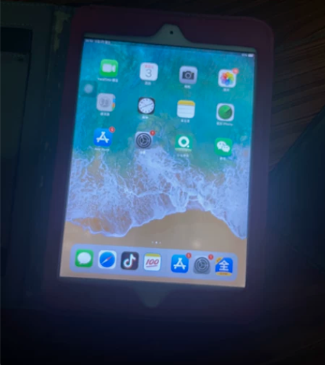 两个iPad mini2  16G主板没修...