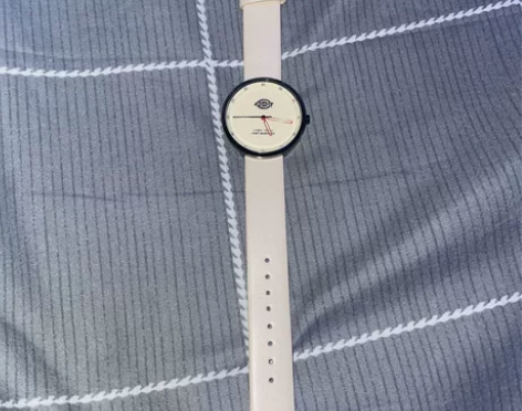 Dickies手表,就带过一次,9成新, ...
